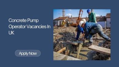 Work In Singapore For International Professionals