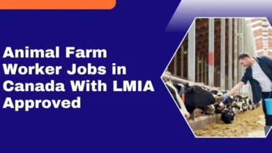 Animal Farm Worker Jobs in Canada