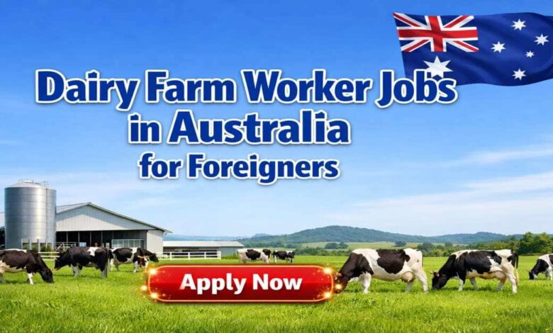 Dairy Farm Worker Jobs in Australia for Foreigners