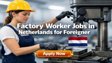 Factory Worker Jobs in Netherlands for Foreigner
