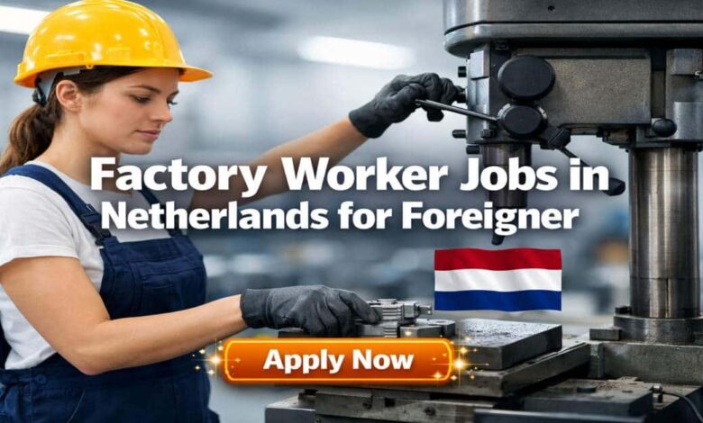Factory Worker Jobs in Netherlands for Foreigner