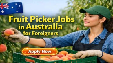 Fruit Picker Jobs in Australia for Foreigners
