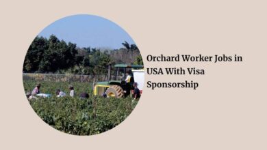 Orchard Worker Jobs in USA With Visa Sponsorship