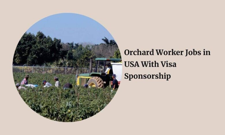 Orchard Worker Jobs in USA With Visa Sponsorship