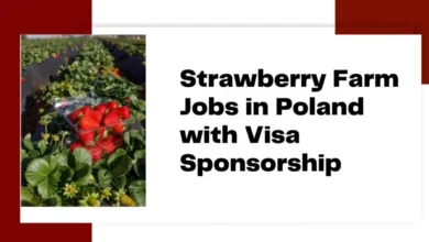 Strawberry Farm Jobs in Poland