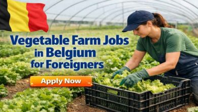 Vegetable Farm Jobs in Belgium for Foreigners