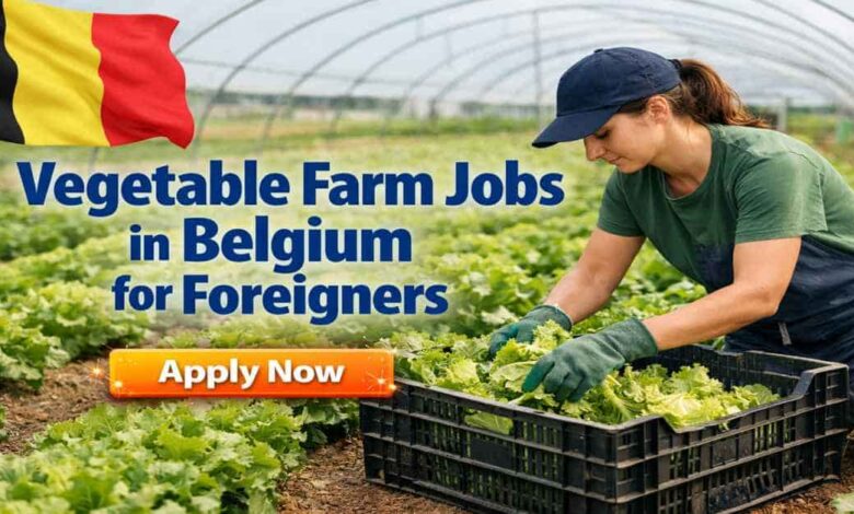 Vegetable Farm Jobs in Belgium for Foreigners