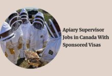 Apiary Supervisor Jobs in Canada With Sponsored Visas