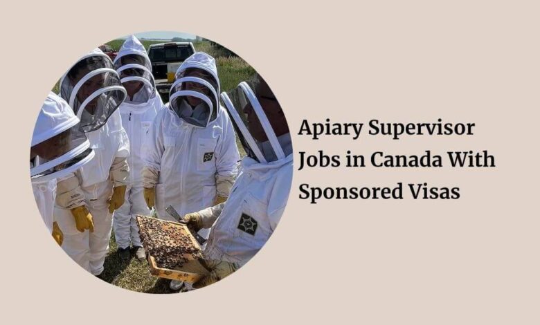 Apiary Supervisor Jobs in Canada With Sponsored Visas