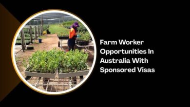 Farm Worker Opportunities In Australia With Sponsored Visas