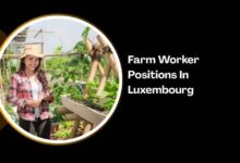 Farm Worker Positions In Luxembourg