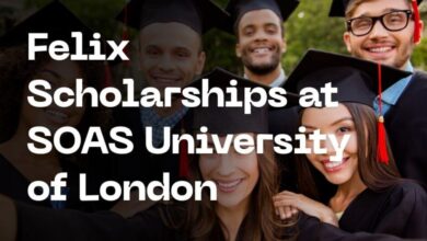 Felix Scholarships at SOAS University of London
