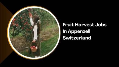 Fruit Harvest Jobs In Appenzell Switzerland