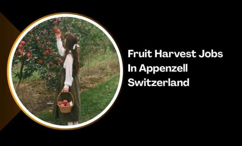 Fruit Harvest Jobs In Appenzell Switzerland