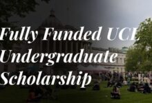 Fully Funded UCL Undergraduate Scholarship