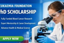 Leukaemia Foundation PhD Scholarship
