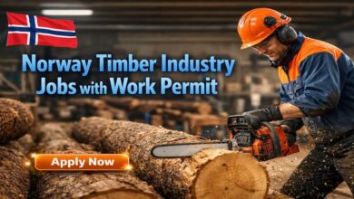 Norway Timber Industry Jobs with Work Permit