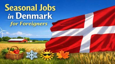 Seasonal Jobs in Denmark for Foreigners