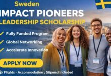 Sweden Impact Pioneers Leadership Scholarship