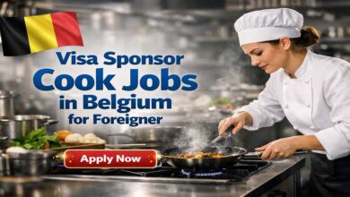 Visa Sponsor Cook Jobs in Belgium for Foreigner
