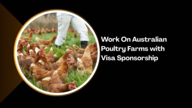 Work On Australian Poultry Farms with Visa Sponsorship