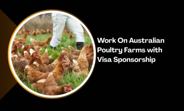 Work On Australian Poultry Farms with Visa Sponsorship