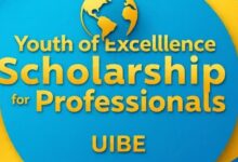 Youth of Excellence Scholarship For Professionals UIBE