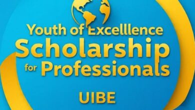 Youth of Excellence Scholarship For Professionals UIBE