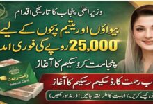 CM Punjab Rehmat Card Scheme 2026