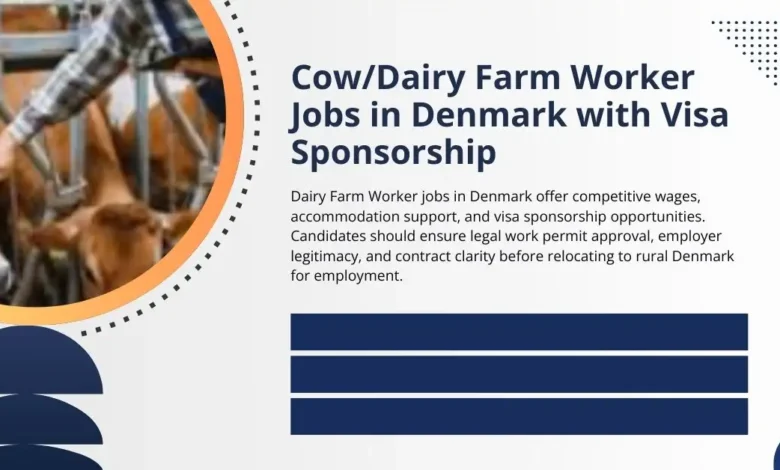 Cow/Dairy Farm Worker Jobs in Denmark with Visa Sponsorship
