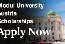 Modul University Austria Scholarships