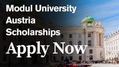 Modul University Austria Scholarships