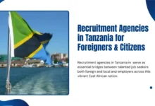 Recruitment Agencies in Tanzania