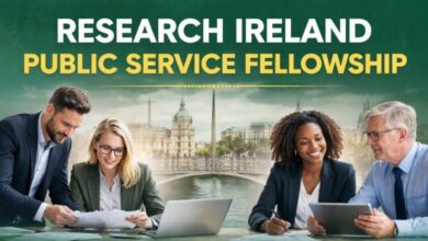 Research Ireland Public Service Fellowship