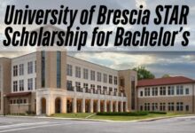 University of Brescia STAR Scholarship for Bachelor’s