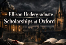 Ellison Undergraduate Scholarships at Oxford