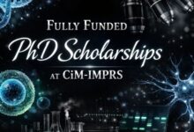Fully Funded PhD Scholarships at CiM-IMPRS